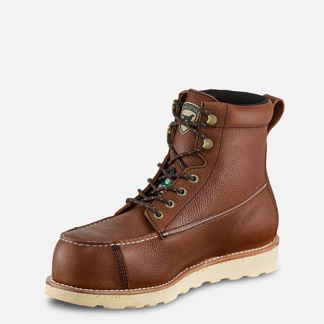 Irish Setter Wingshooter ST 83674 – Botte de travail CSA imperméable 6" pour homme
